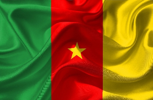 Kamerun'a Kargo Nasıl Gönderilir?