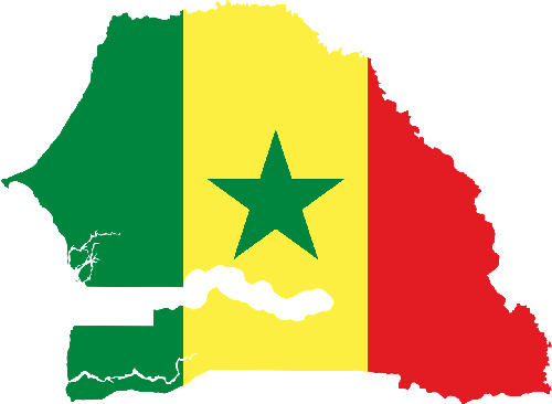 Senegal’e Kargo Nasıl Gönderilir?