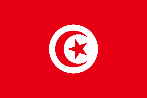 Tunus’a Kargo Nasıl Gönderilir?